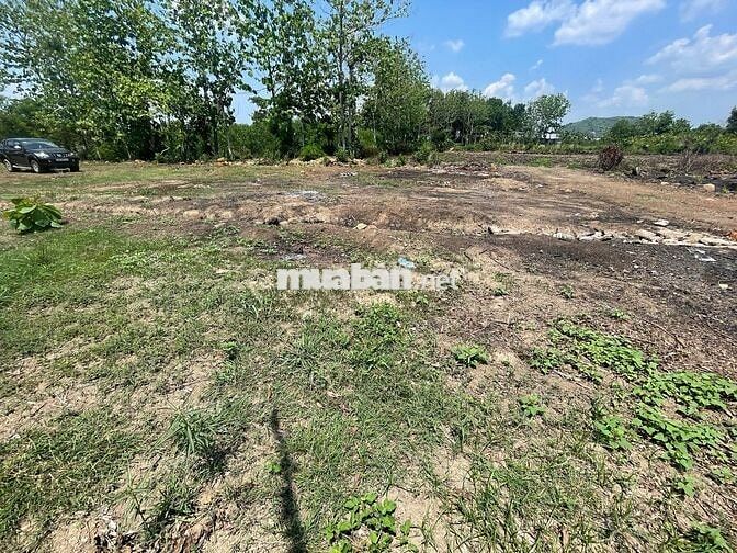 BÁN 1045M2 ĐẤT CSO 23M MẶT TIỀN ĐƯỜNG HIÊN THỊU,DÂN CƯ Ở ĐÔNG ĐÚC.780T