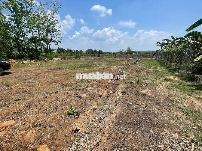 BÁN 1045M2 ĐẤT CSO 23M MẶT TIỀN ĐƯỜNG HIÊN THỊU,DÂN CƯ Ở ĐÔNG ĐÚC.780T