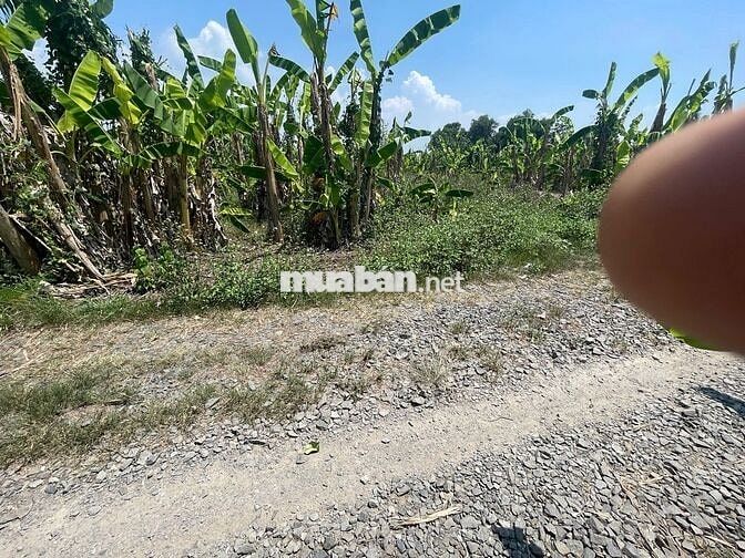 BÁN 925M2 ĐẤT CHỈ VƠI GIÁ 600T,ĐẤT NĂM KHU DÂN CƯ,ĐƯỜNG XE HƠI ĐI ĐƯỢC