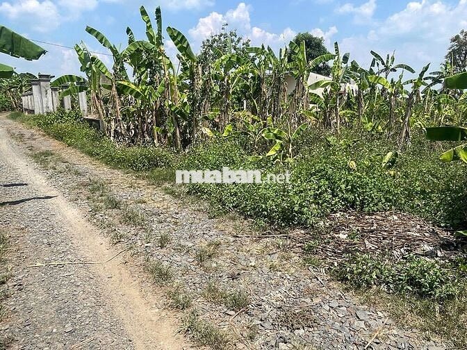 BÁN 925M2 ĐẤT CHỈ VƠI GIÁ 600T,ĐẤT NĂM KHU DÂN CƯ,ĐƯỜNG XE HƠI ĐI ĐƯỢC