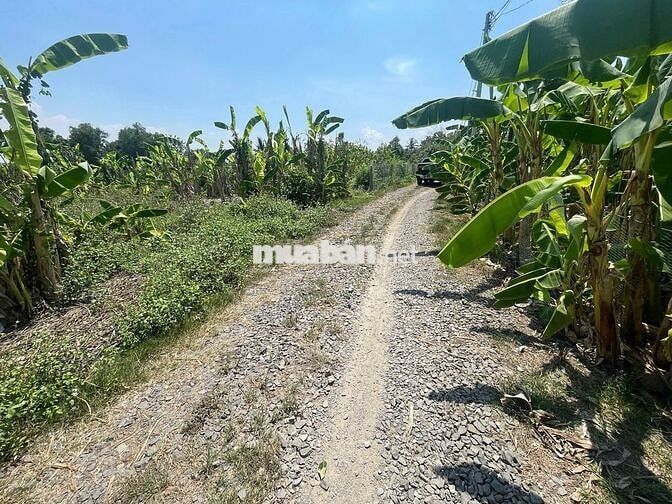 BÁN 925M2 ĐẤT CHỈ VƠI GIÁ 600T,ĐẤT NĂM KHU DÂN CƯ,ĐƯỜNG XE HƠI ĐI ĐƯỢC