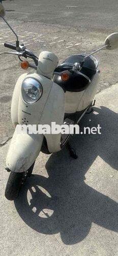 Honda Scoopy Trắng kem