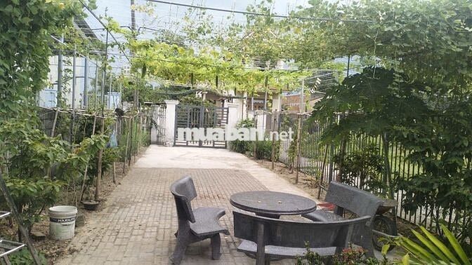 Cho Thuê Phòng trọ Điện Ngọc đường Tứ Ngân thông với Mai Đăng Chơn