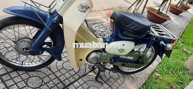 Honda Cub 50 1994 Trắng, Xanh