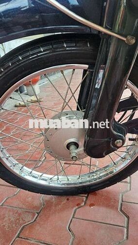 Cup 50cc 2022 Xanh trắng