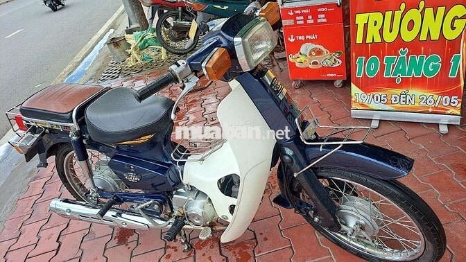 Cup 50cc 2022 Xanh trắng