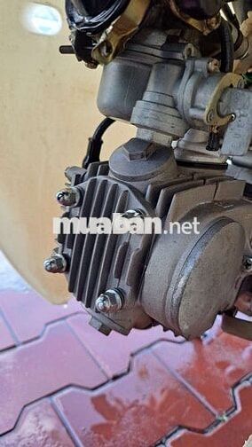 Cup 50cc 2022 Xanh trắng