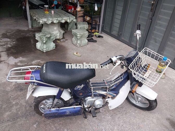 Honda Chaly 86 Xanh trắng