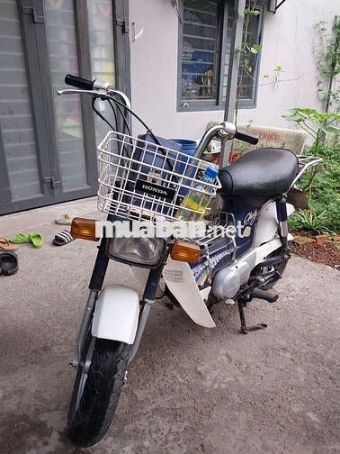 Honda Chaly 86 Xanh trắng