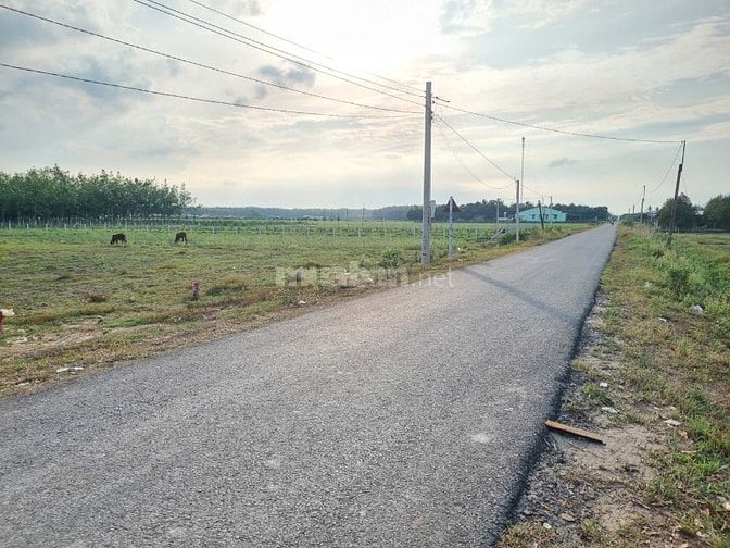 Đất Tây Ninh giá rẻ. Đường nhựa, khu dân cư. 5x35 giá 4xx 