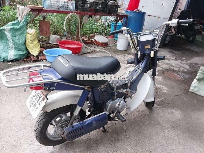 Honda Chaly 86 Xanh trắng