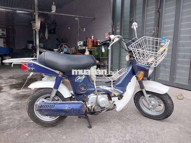 Honda Chaly 86 Xanh trắng