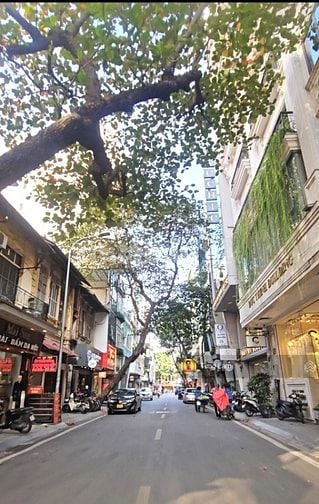 (Chính chủ) bán tòa 10 tầng- MP Triệu Việt Vương- gần Vincom Bà Triệu 