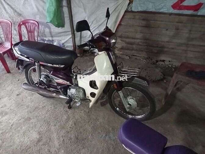 Honda Dream Thái màu Tím
