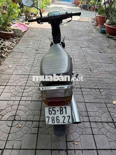 Honda Dream màu Nâu