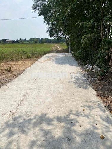 Đất Thổ Cư giá bèo tại Đức Hoà Long An- 4x16m - SHR- HXH - khu dân cư