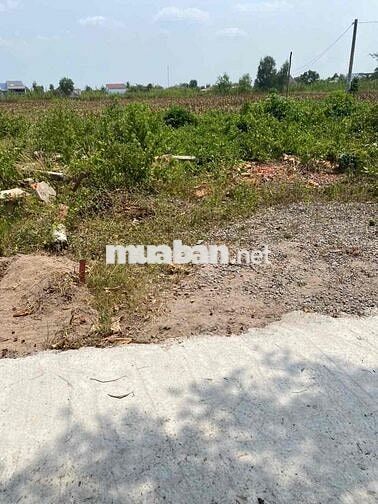 Đất Thổ Cư giá bèo tại Đức Hoà Long An- 4x16m - SHR- HXH - khu dân cư