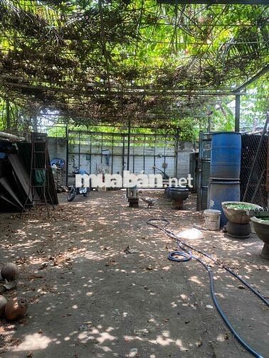 Cho thuê kho xưởng 350m2 Nguyễn đình Kiên (kinh c)