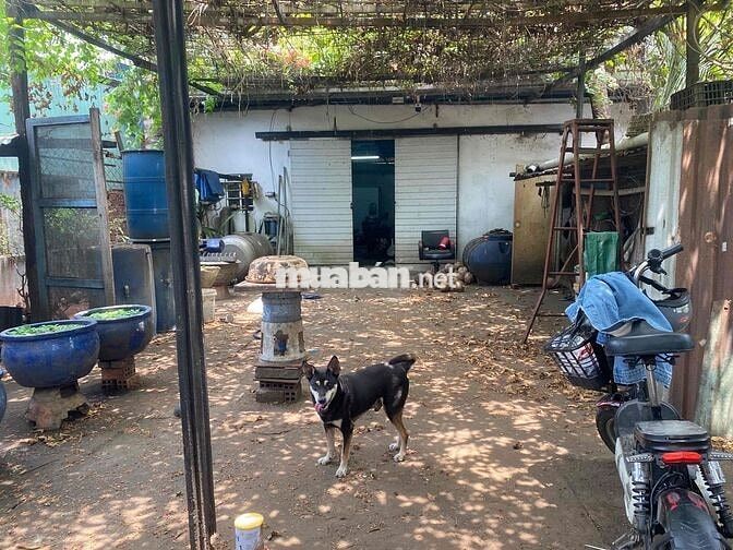Cho thuê kho xưởng 350m2 Nguyễn đình Kiên (kinh c)