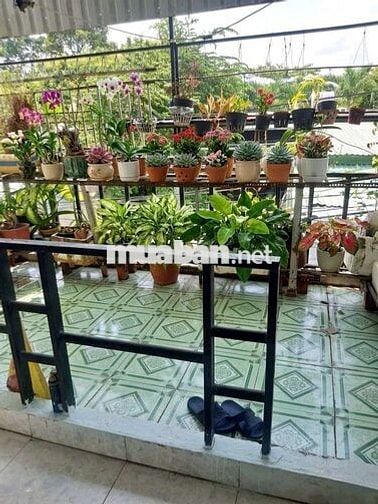 Nhà 1lầu 3phòng, Thới Tứ, Trần Thị Bốc, Thới Tam Thôn Hóc Môn
