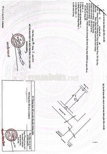 Chính chủ bán nhà cấp 4 trục chính Hẻm 5 Lê Quang Chiểu