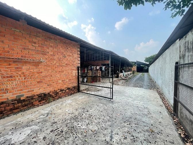 Bán đất gần chợ, cách tp 50km, có vườn cây ăn trái