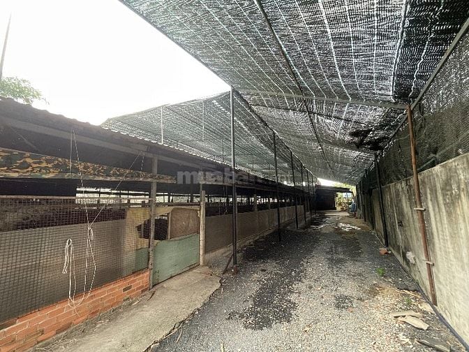 Bán đất gần chợ, cách tp 50km, có vườn cây ăn trái