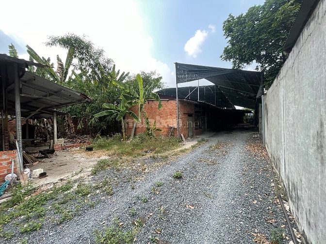 Bán đất gần chợ, cách tp 50km, có vườn cây ăn trái
