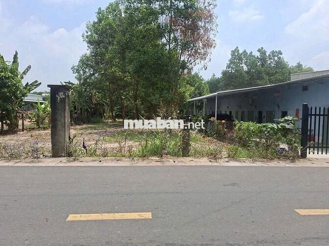 Bán đất mặt tiền 72.9m2 tại D12, Trừ Văn Thố, giá cực chất 399 triệu