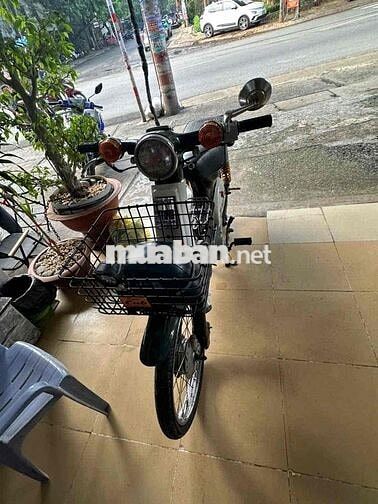 Honda Cub 81 màu Xanh