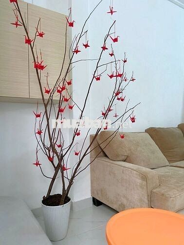 🔥KTX NAM - GẦN ĐH MỞ, THẢO CẦM VIÊN, CHỢ BẾN THÀNH🔥