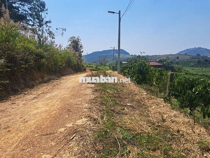 Cần bán mảnh đất tại Nam Hà Lâm Hà Lâm Đồng