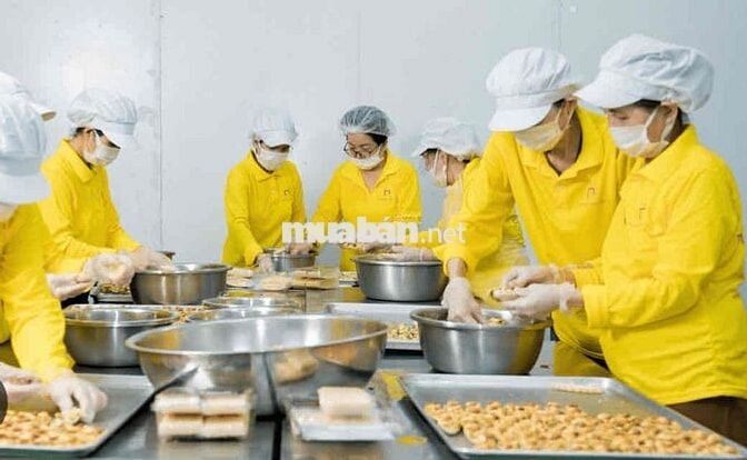 tuyển tổ trưởng sản xuất