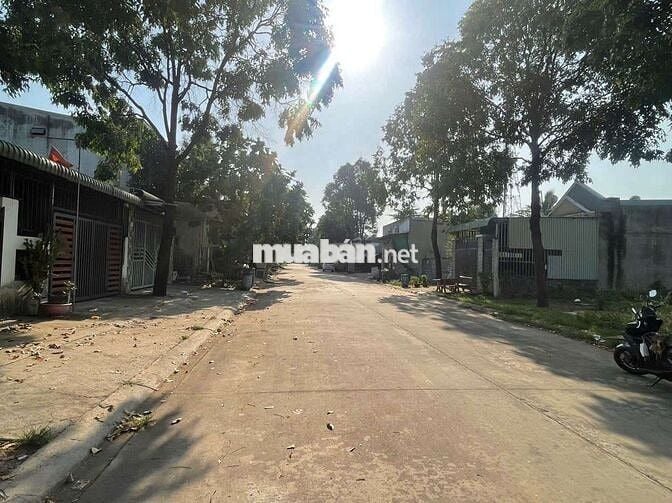 Bán 300m2 đất sạch sổ sẵn tại Mỹ Phước 3 Bến Cát Bình Dương