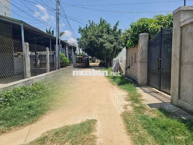 Bán 500m2 CLN được phép lên ODT tại Bình Quý, Ninh Phước, Ninh Thuận