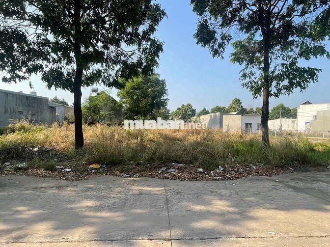 Bán 300m2 đất sạch sổ sẵn tại Mỹ Phước 3 Bến Cát Bình Dương