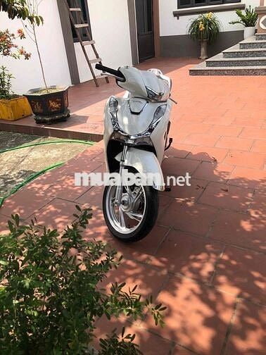 Honda SH 160 ABS Trắng 2023