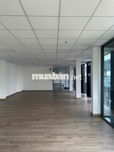 Bán 2MT Nguyễn Hữu Tiến 166m2, thiết kế văn phòng cho thuê