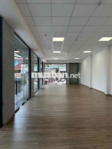 Bán 2MT Nguyễn Hữu Tiến 166m2, thiết kế văn phòng cho thuê