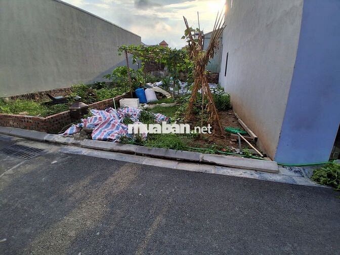 Bán đất cách 30 mét ra khu đấu giá Bắc Hồng