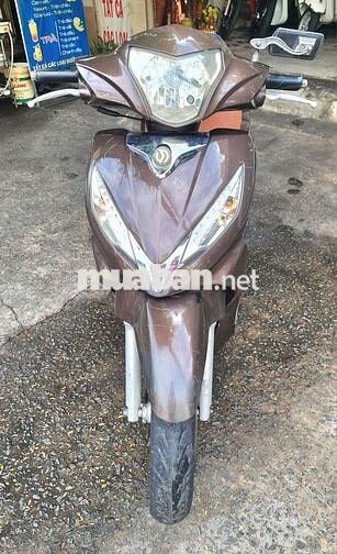SYM Shark 125 màu Nâu