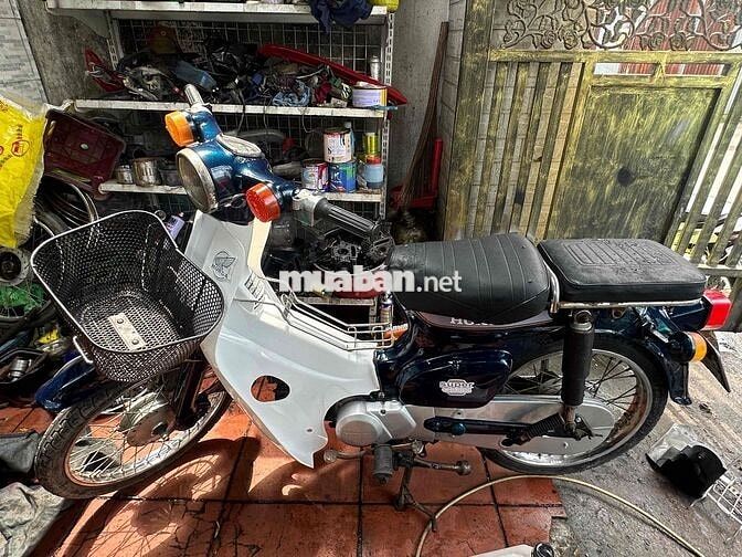 Honda Super Cub 81