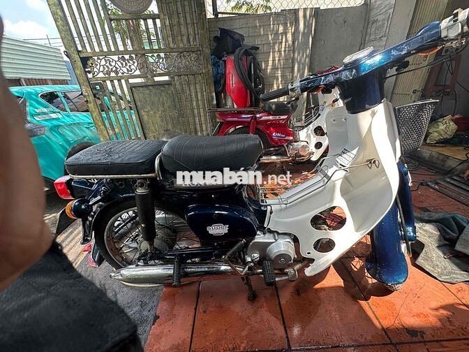 Honda Super Cub 81