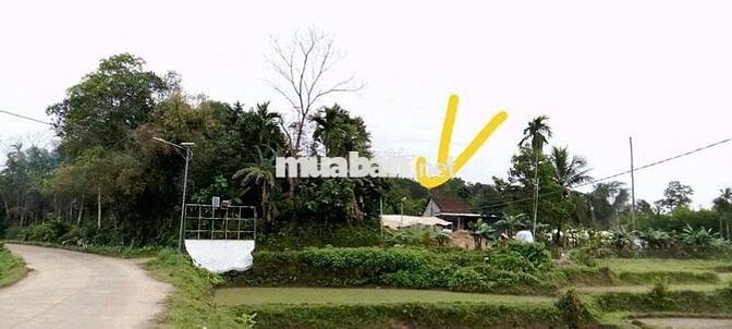 CẦN BÁN ĐẤT VƯỜN ĐẸP VIEW ĐỒNG TẠI TIÊN PHƯỚC  TẶNG KÈM NHÀ CẤP 4