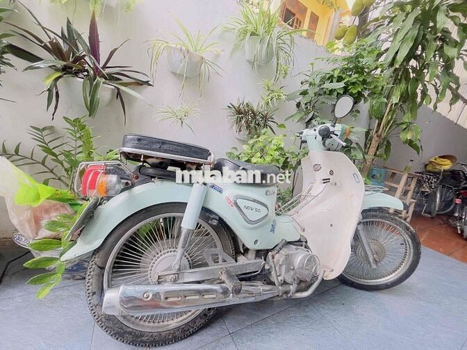 Honda Cub New 50 Xanh ngọc