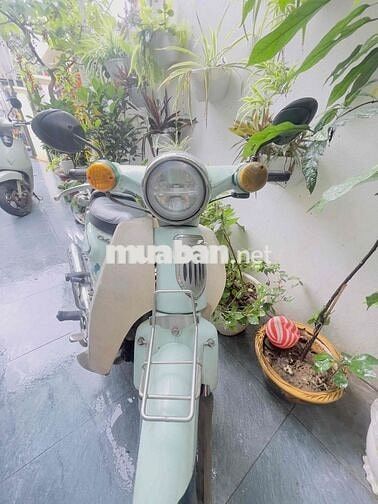Honda Cub New 50 Xanh ngọc