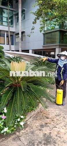 Tuyển 3 lao động chăm sóc cây xanh