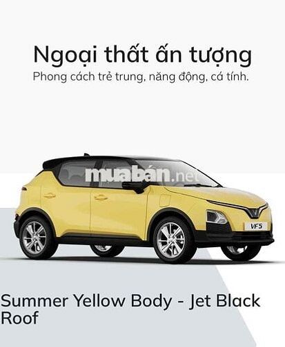 Tặng 1 năm bảo hiểm hoặc 5tr cho VF5 Plus