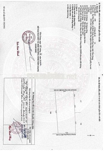 Bán Đất Vườn Dừa đang cho trái thu nhập ổn định