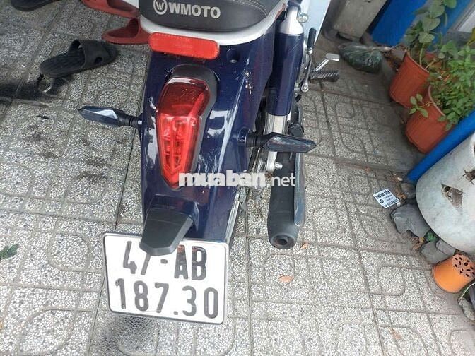 Honda Cup 50cc Classic Xanh trắng